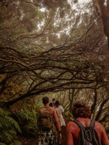 WWOOF WORKAWAY Backpacker Volunteering Tenerife