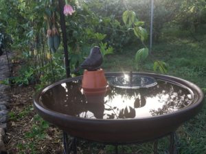 PHOTO-2023-04-13-10-23-56