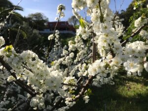 Bio Finca auf Teneriffa